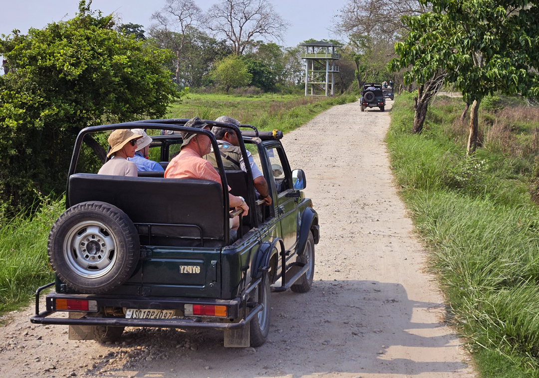 Nameri Gypsy Safari